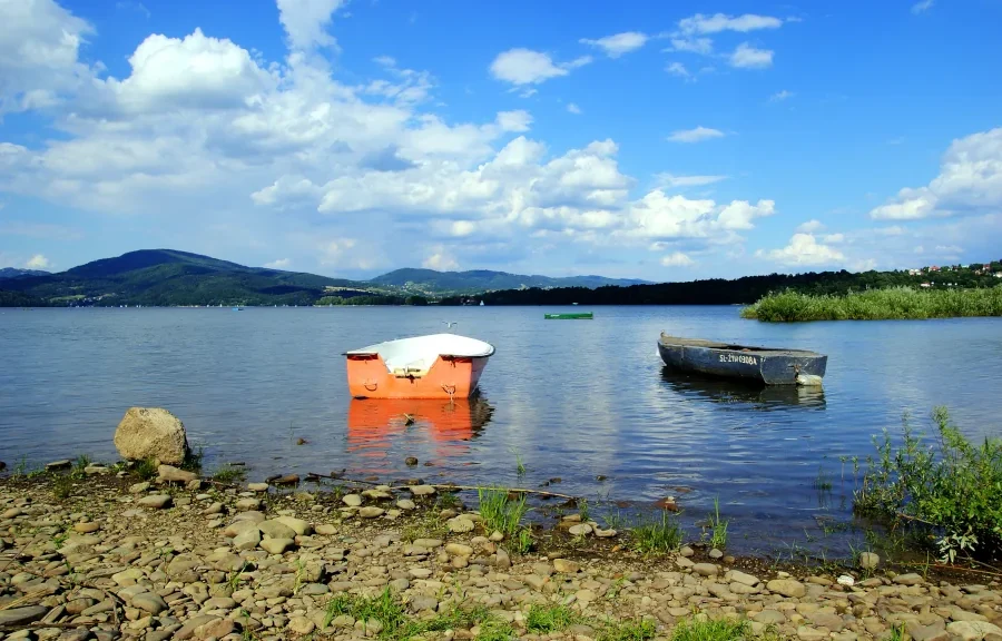 przeprowadzka do Żywca